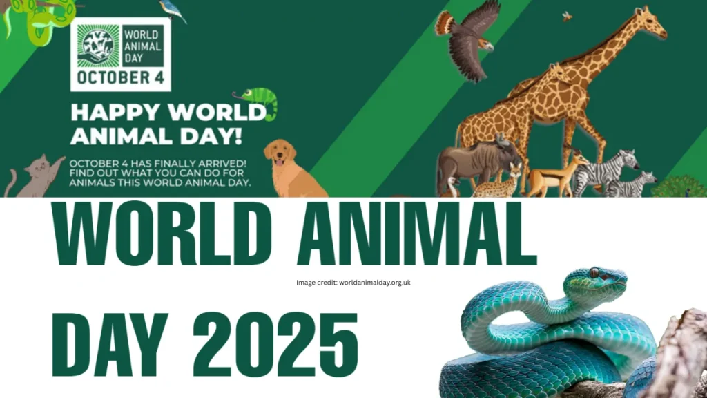World Animal Welfare Day